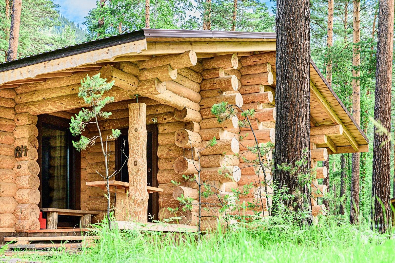 Altay Sense - фото 58