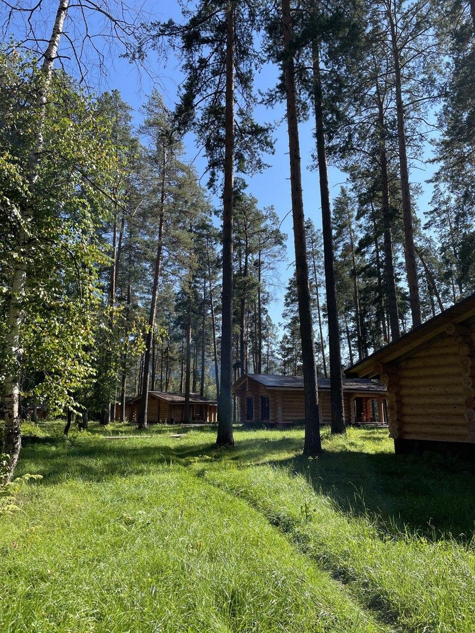 Altay Sense - фото 60