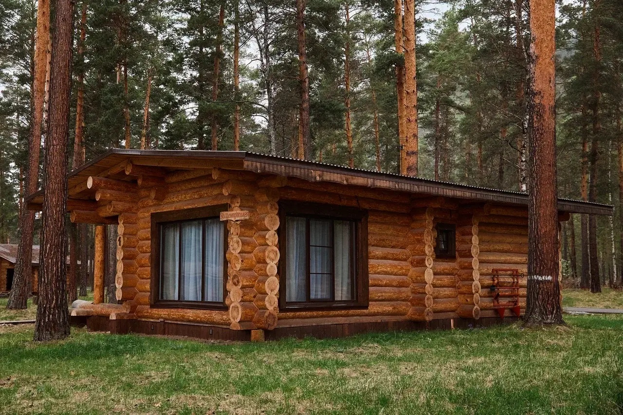 Altay Sense - фото 64