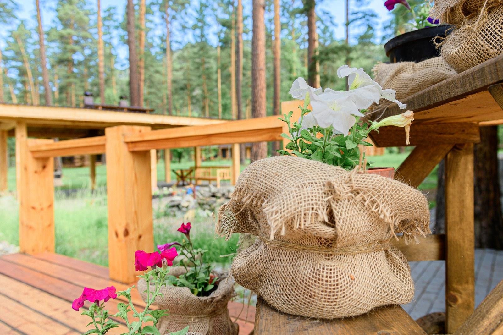 Altay Sense - фото 66