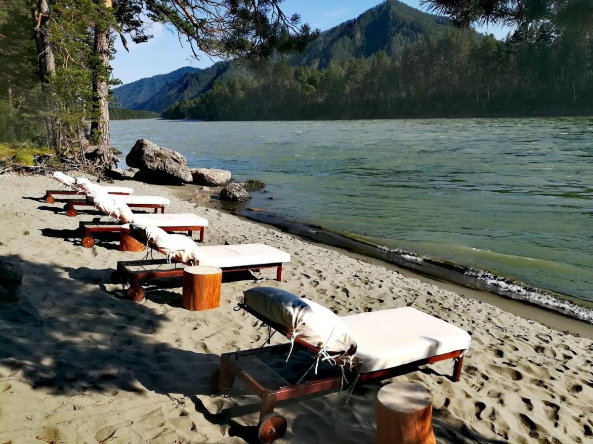 Altay Sense - фото 68