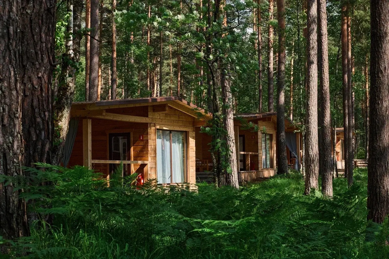 Altay Sense - фото 71