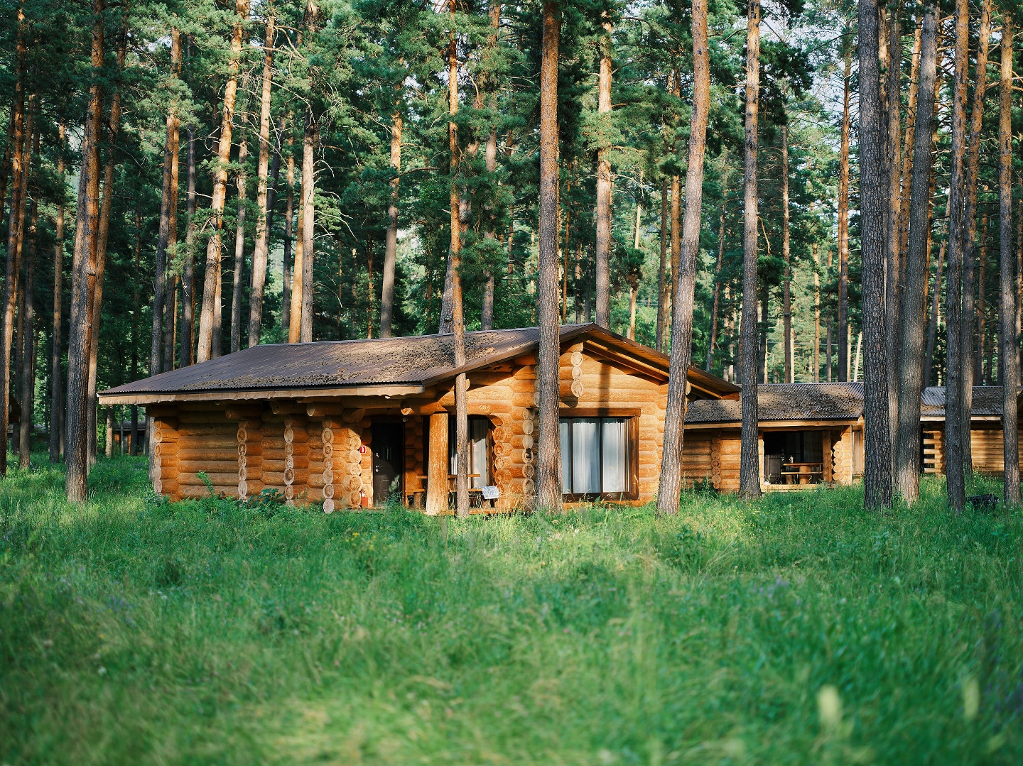 Altay Sense - фото 73