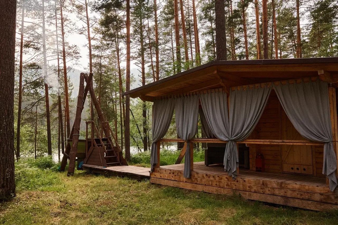 Altay Sense - фото 74