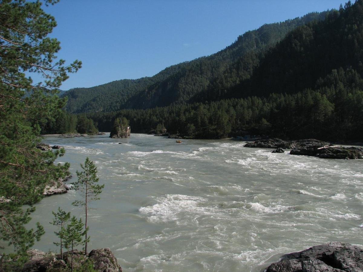 Altay Sense - фото 76