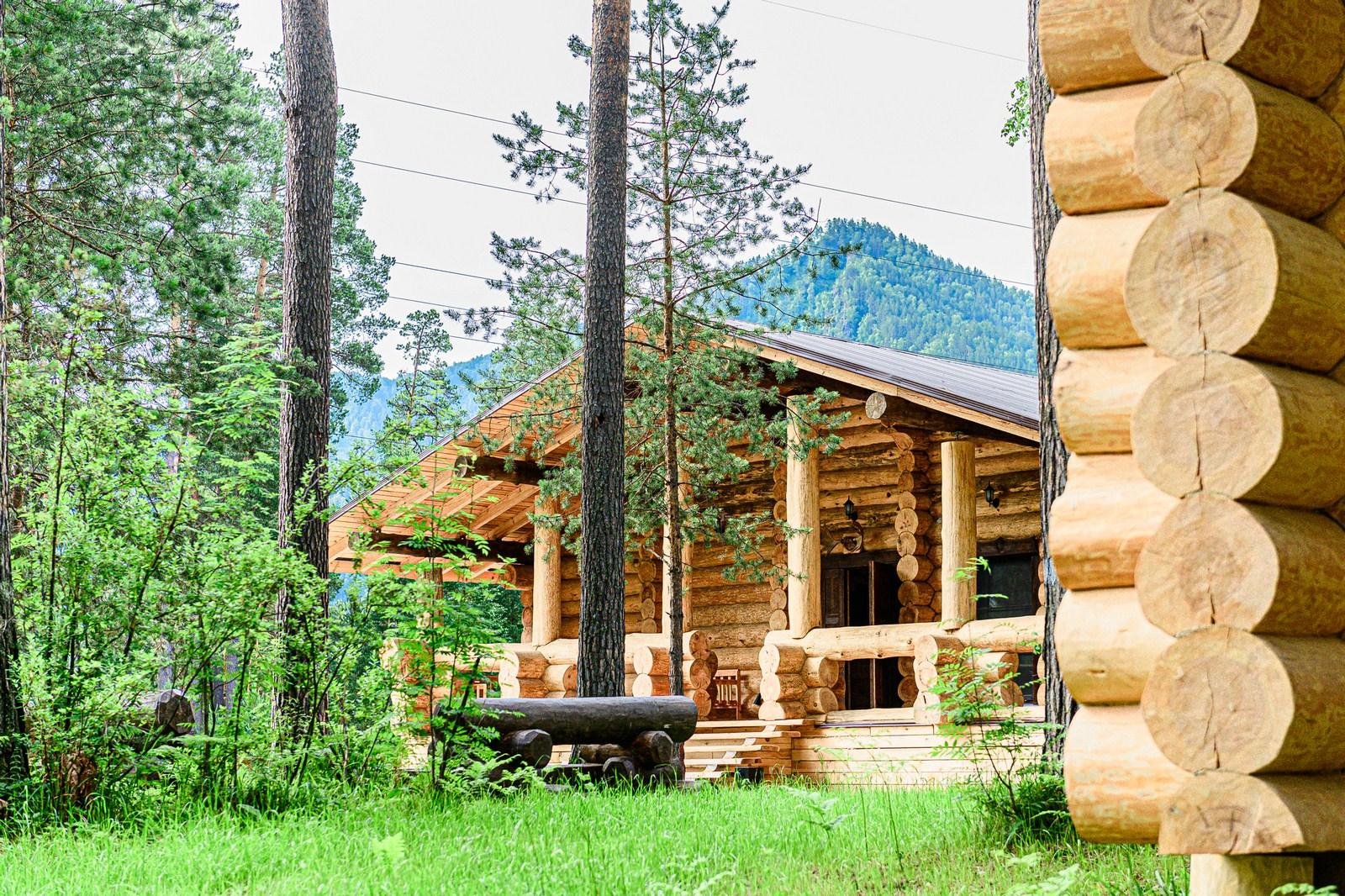 Altay Sense - фото 77