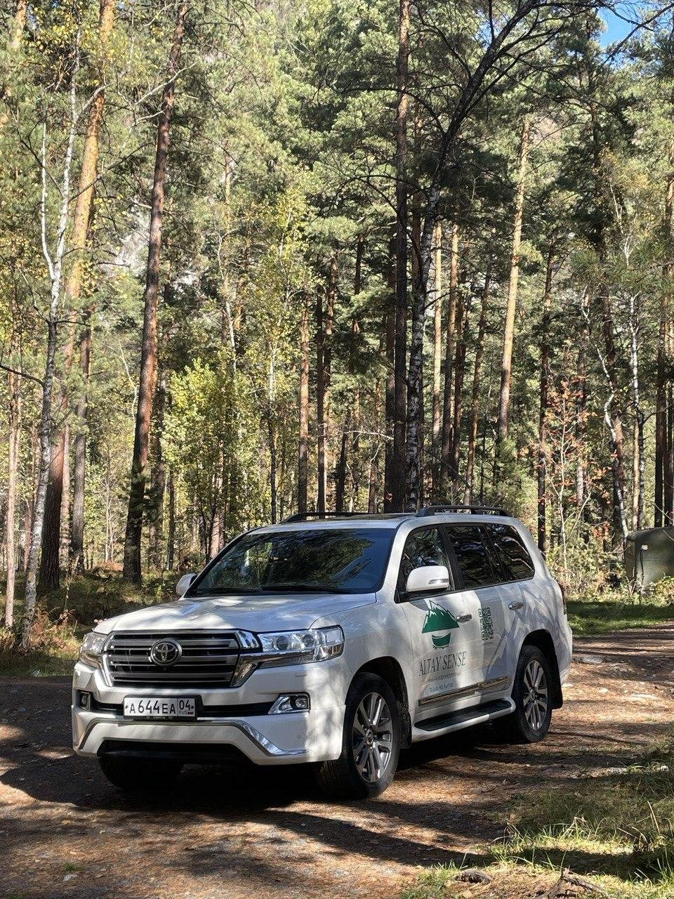 Altay Sense - фото 81