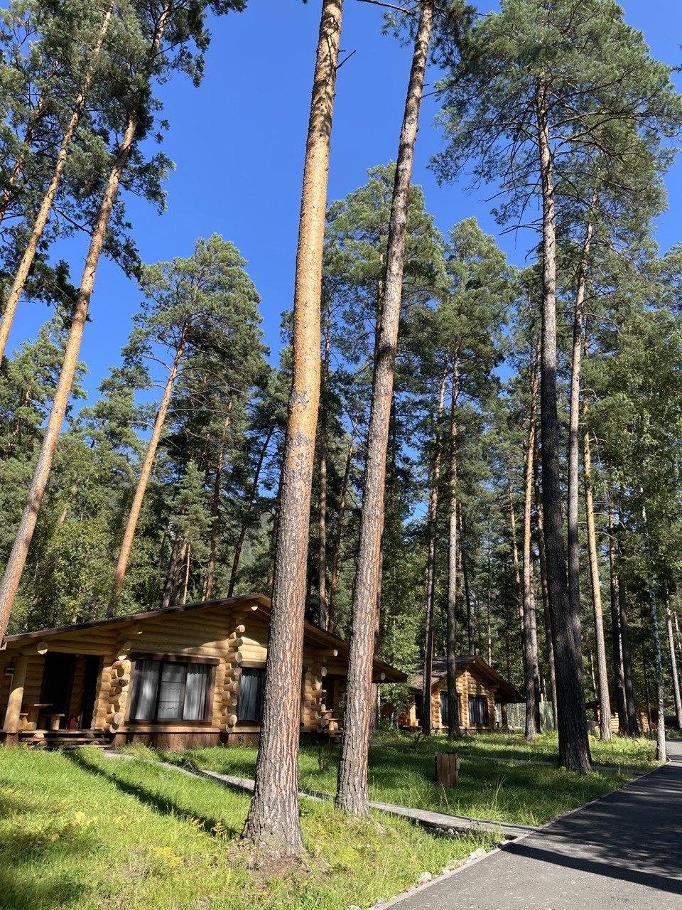 Altay Sense - фото 83