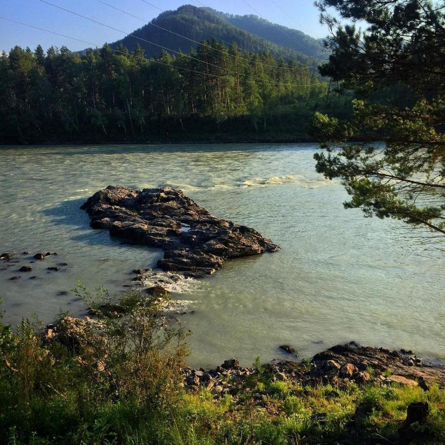 Altay Sense - фото 87