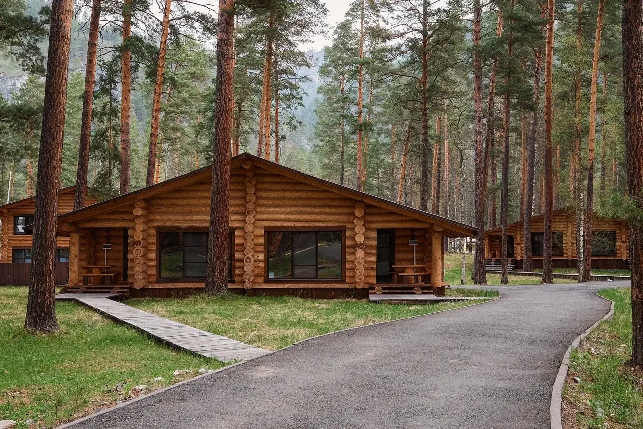 Altay Sense - фото 88