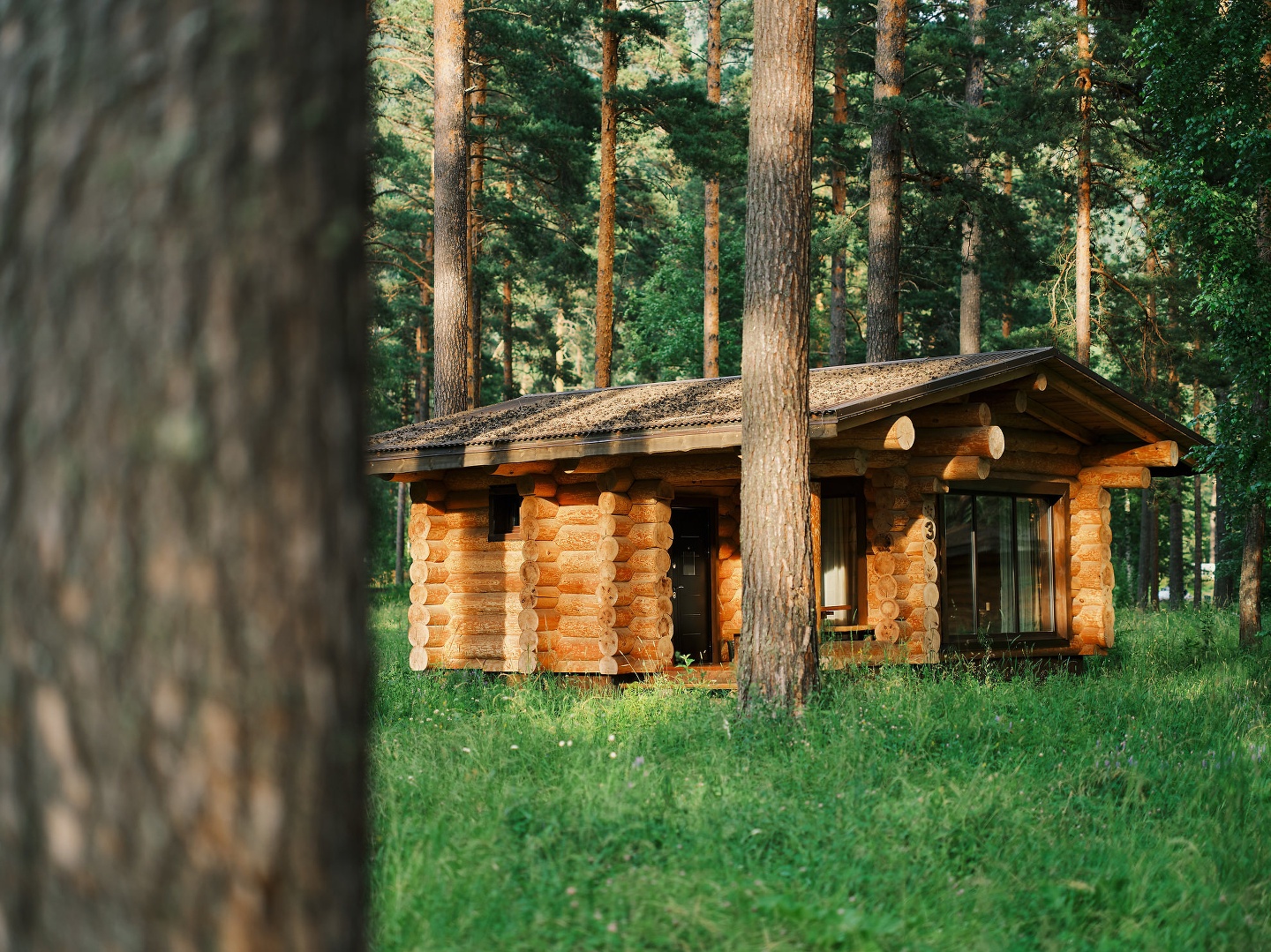 Altay Sense - фото 91