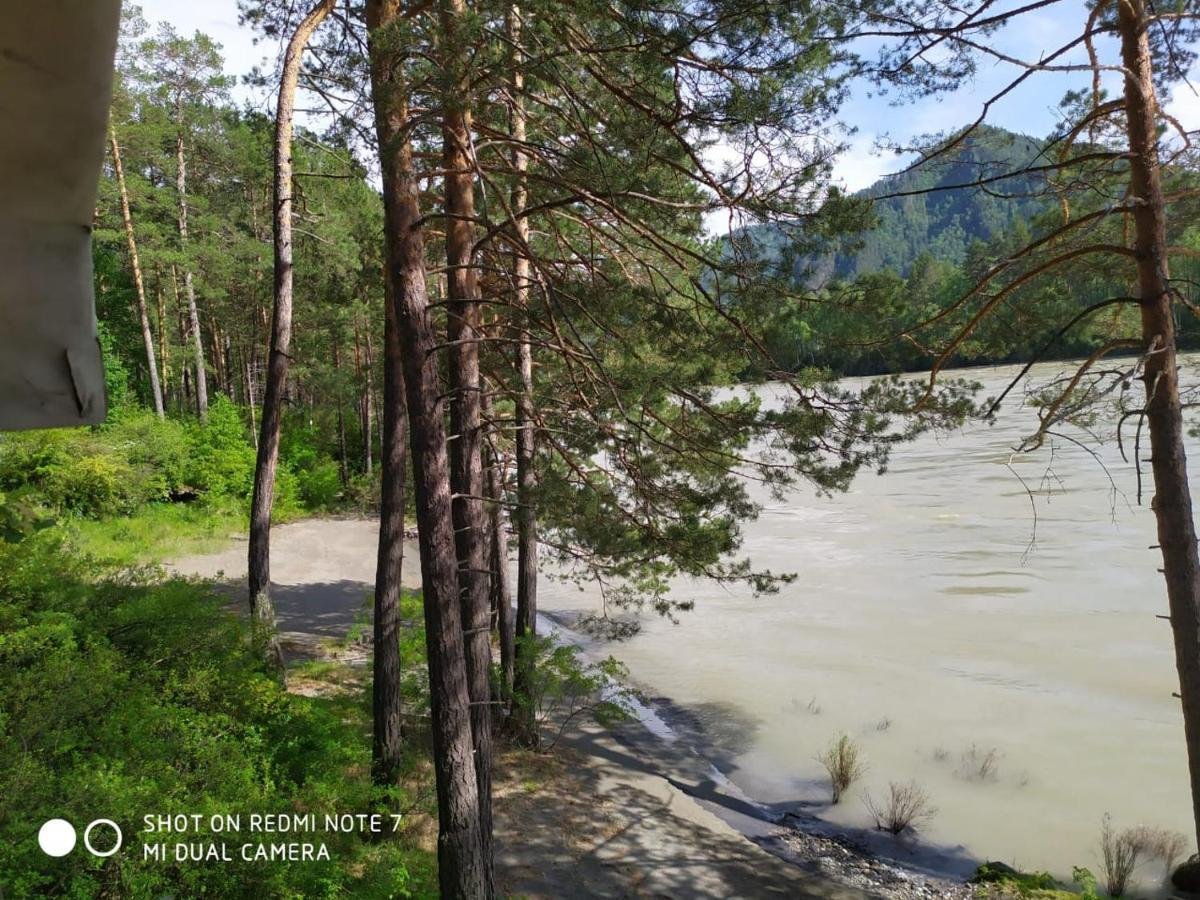 Altay Sense - фото 93