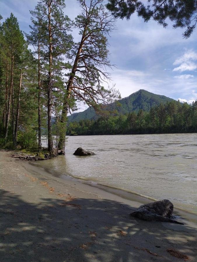 Altay Sense - фото 97