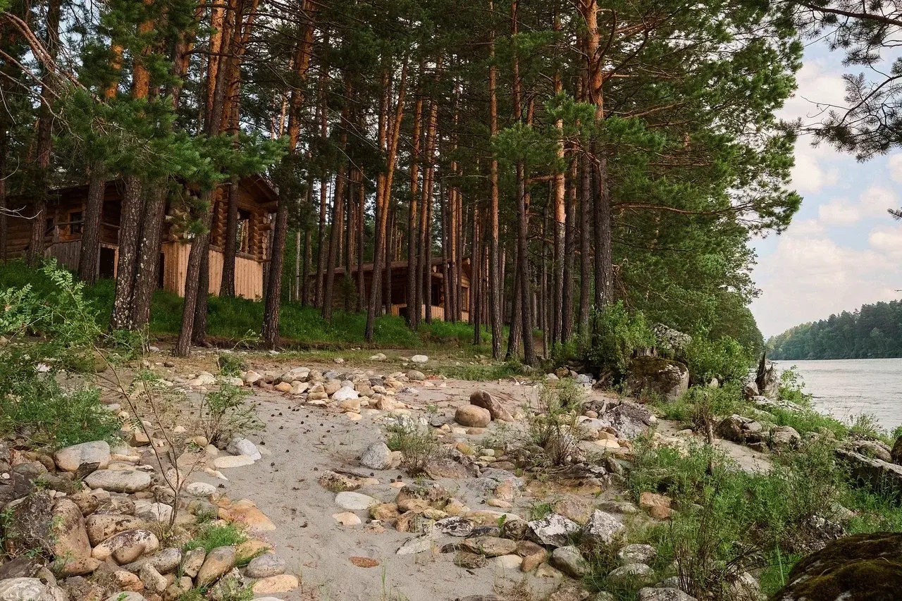 Altay Sense - фото 98