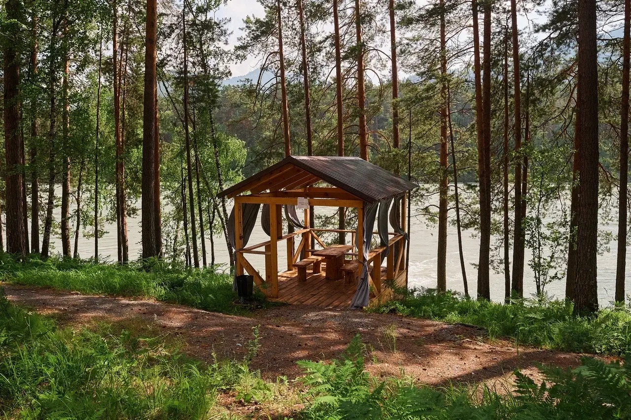 Altay Sense - фото 100