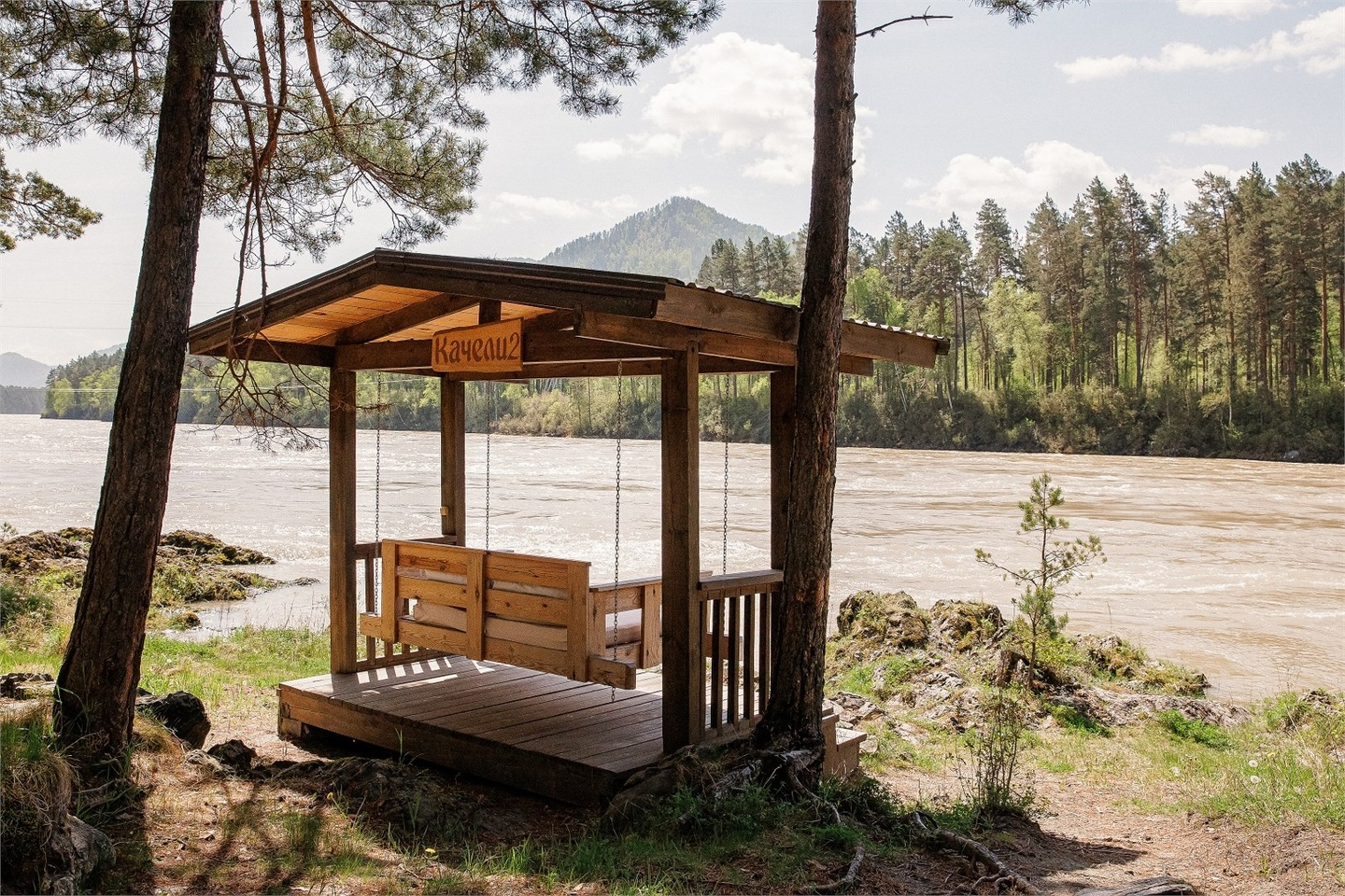 "Кедровый дом" территория "Детокс" - фото 9