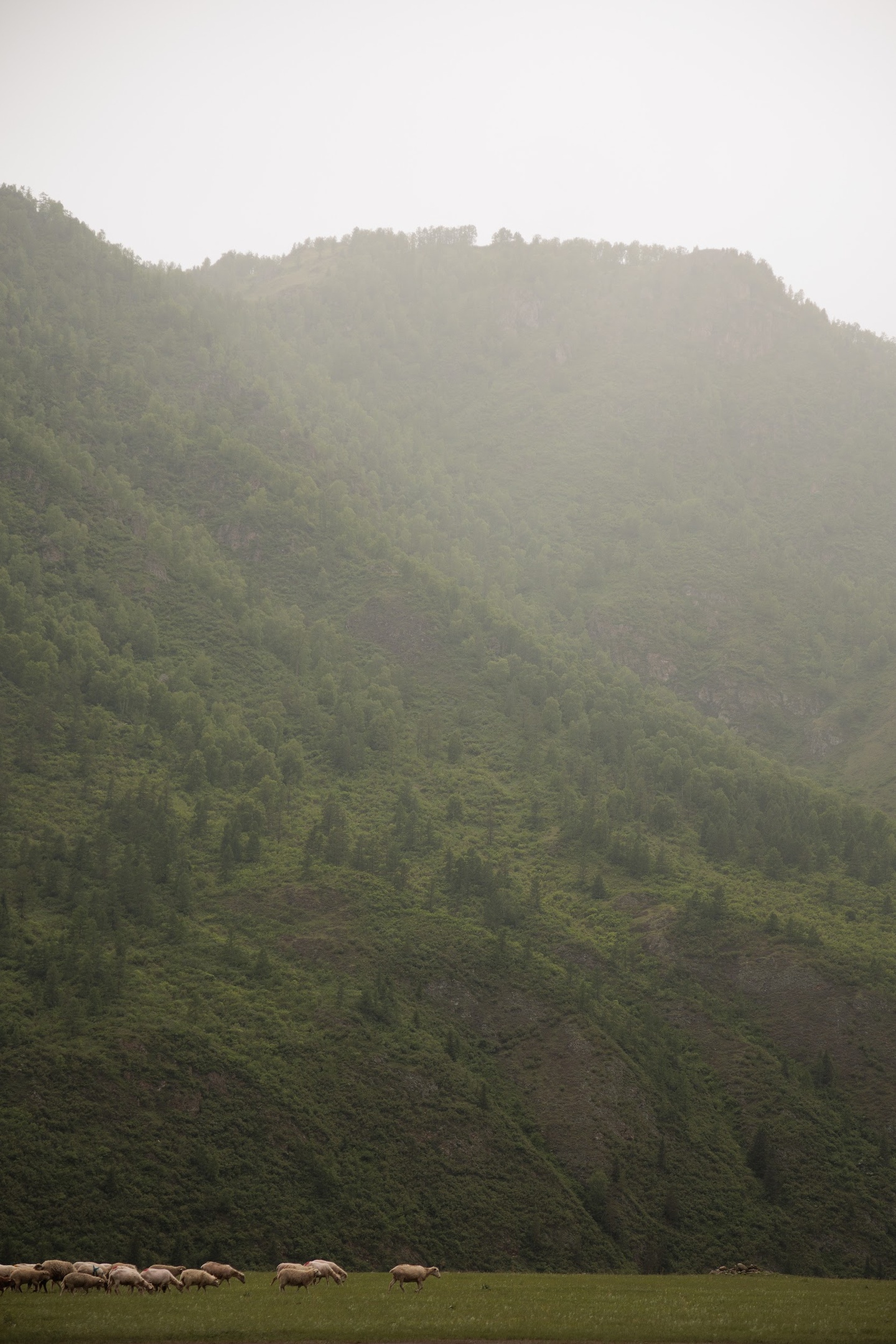 Атарай - фото 40