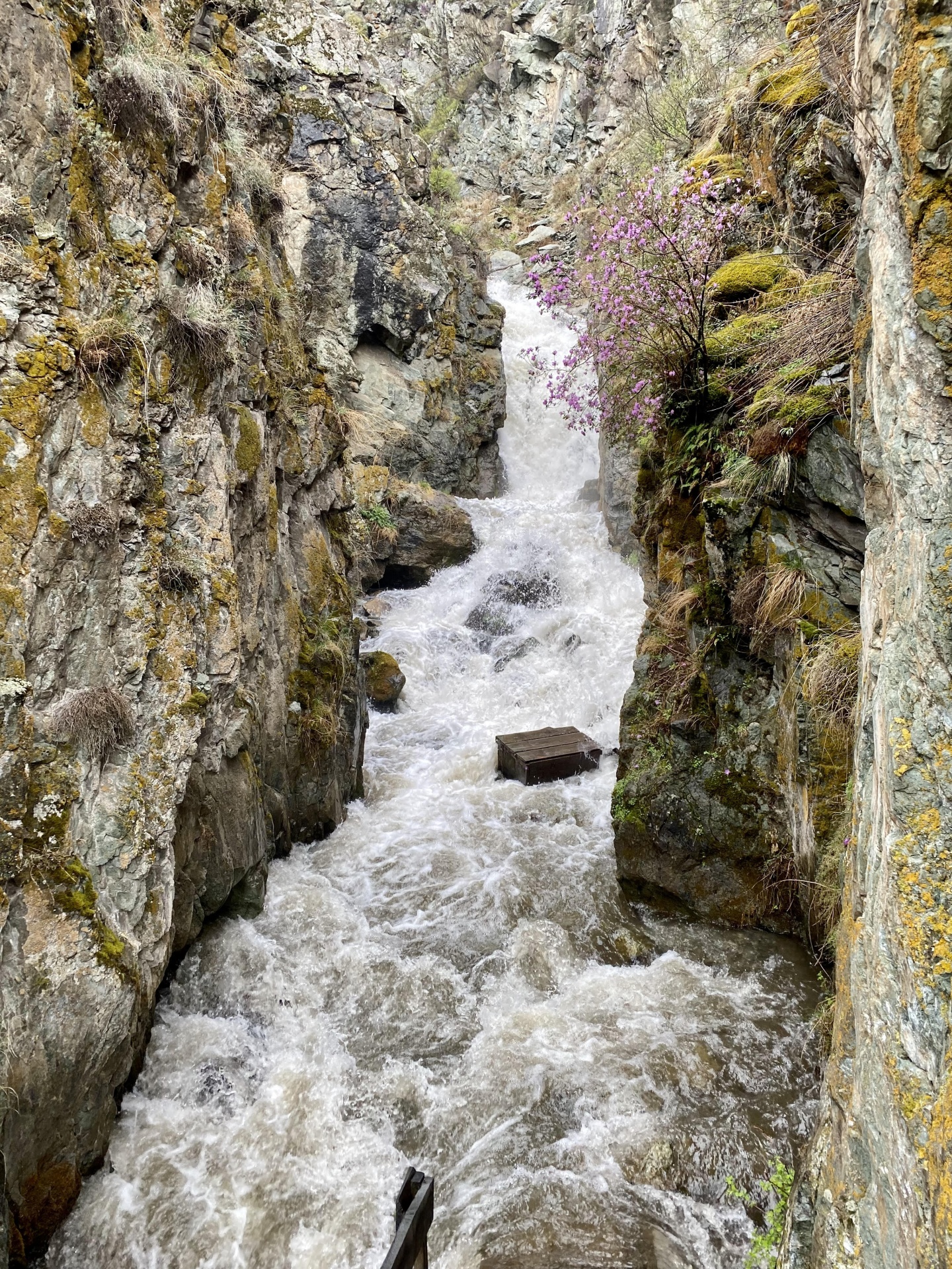 Атарай - фото 70