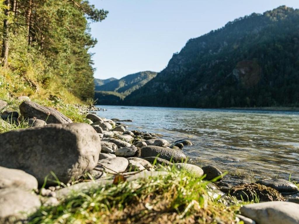 Алтай берег - фото 5
