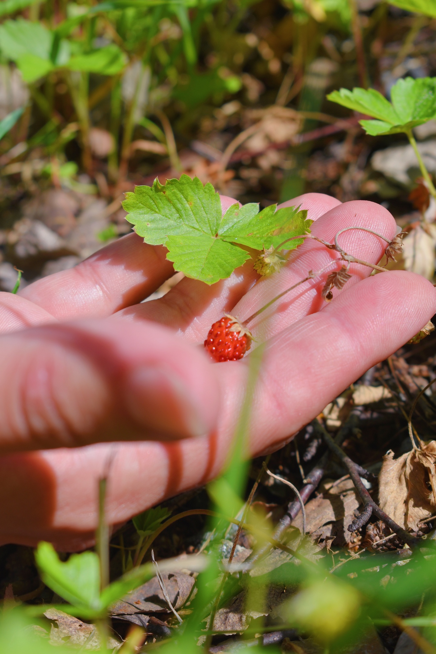 Банный край - фото 58