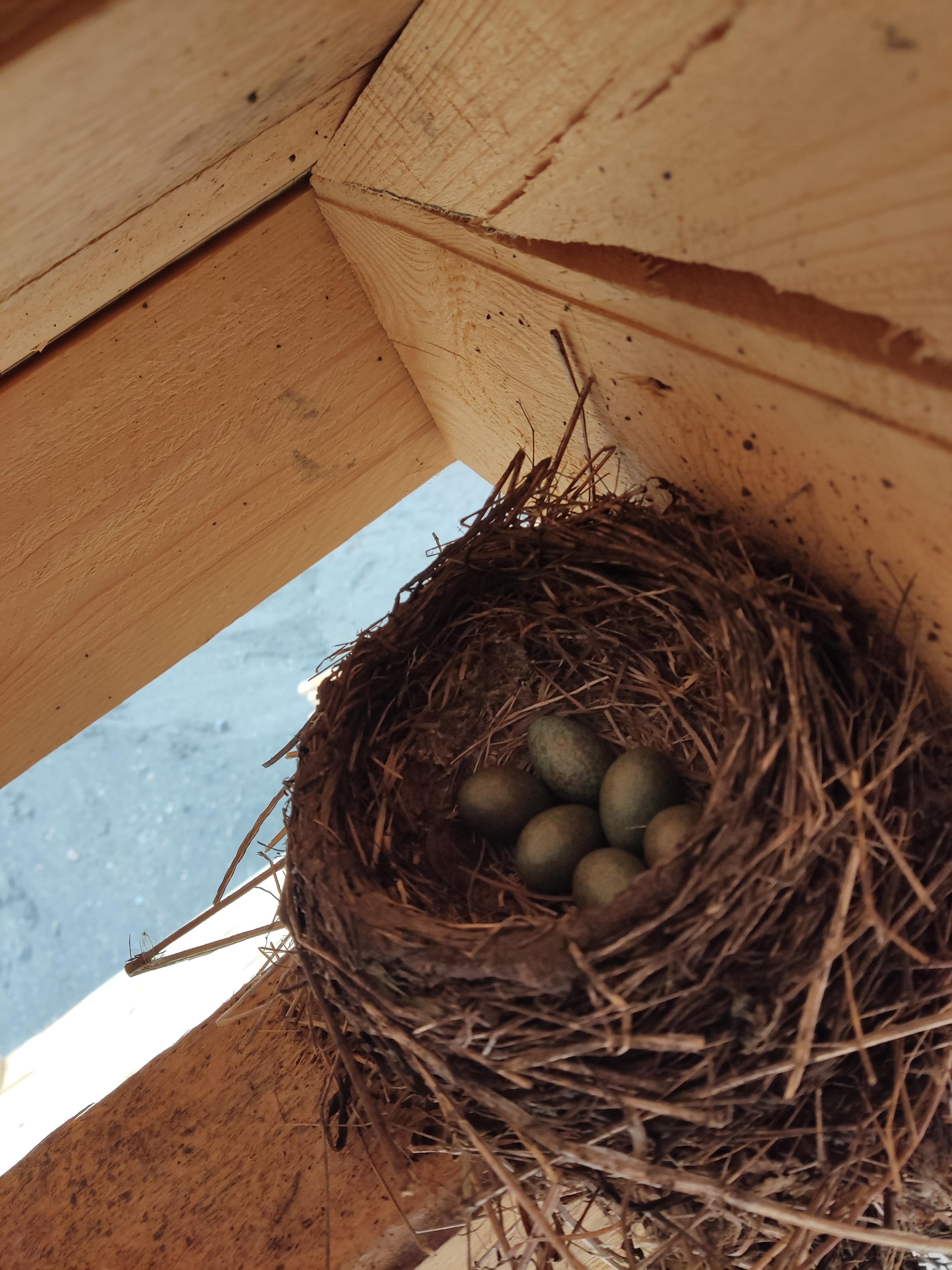 Банный край - фото 60