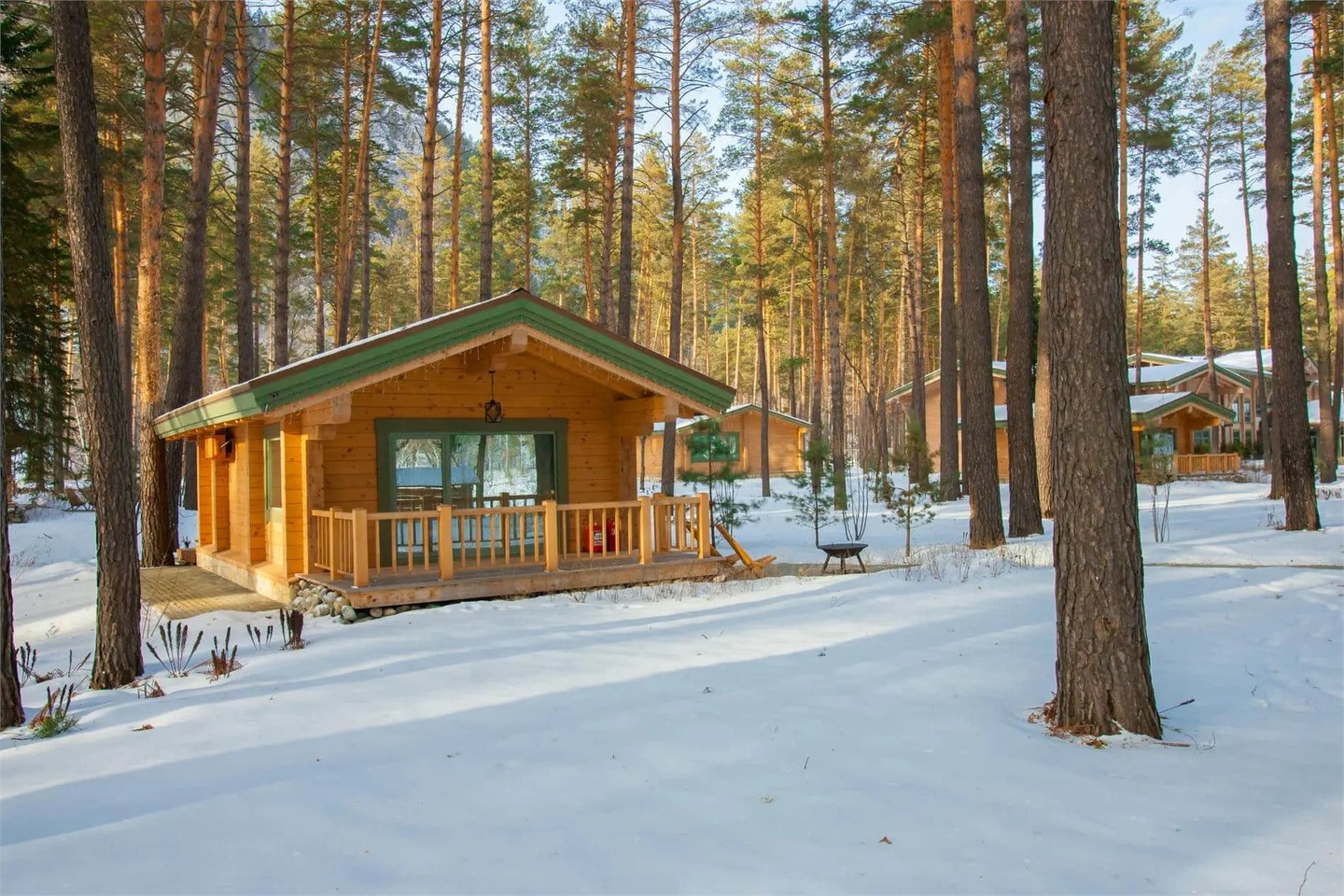 Классик Шале - фото 1