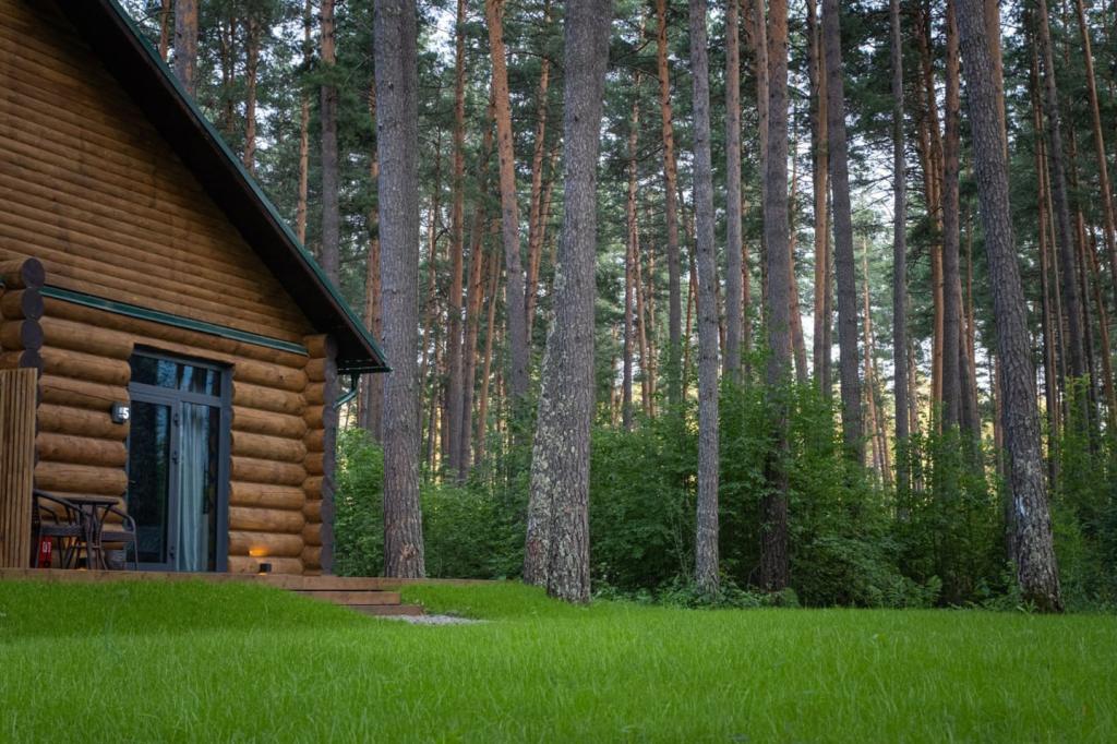 Сказка Алтая - фото 10