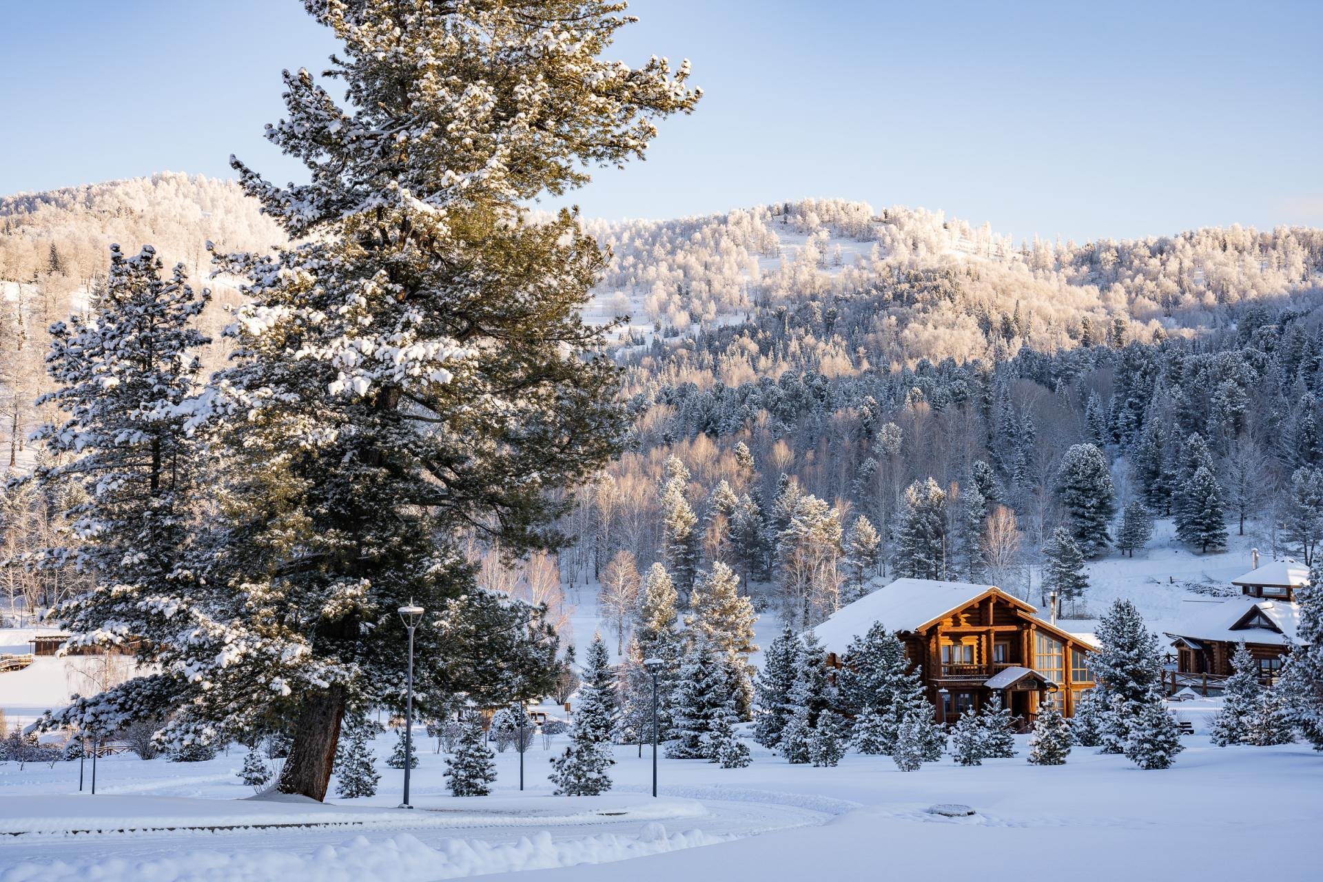 Cosmos Collection Altay Resort - фото 71