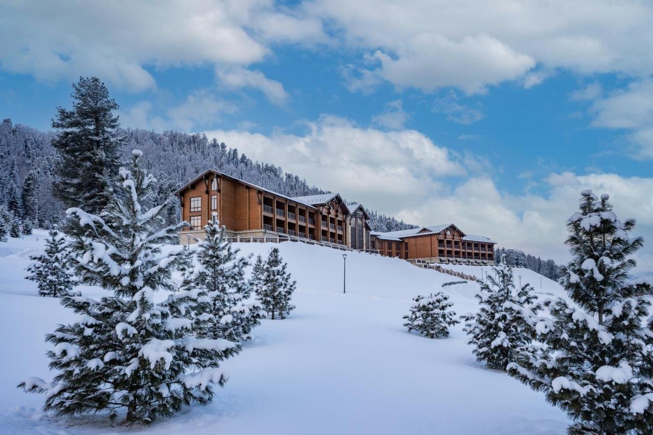 Cosmos Collection Altay Resort - фото 75