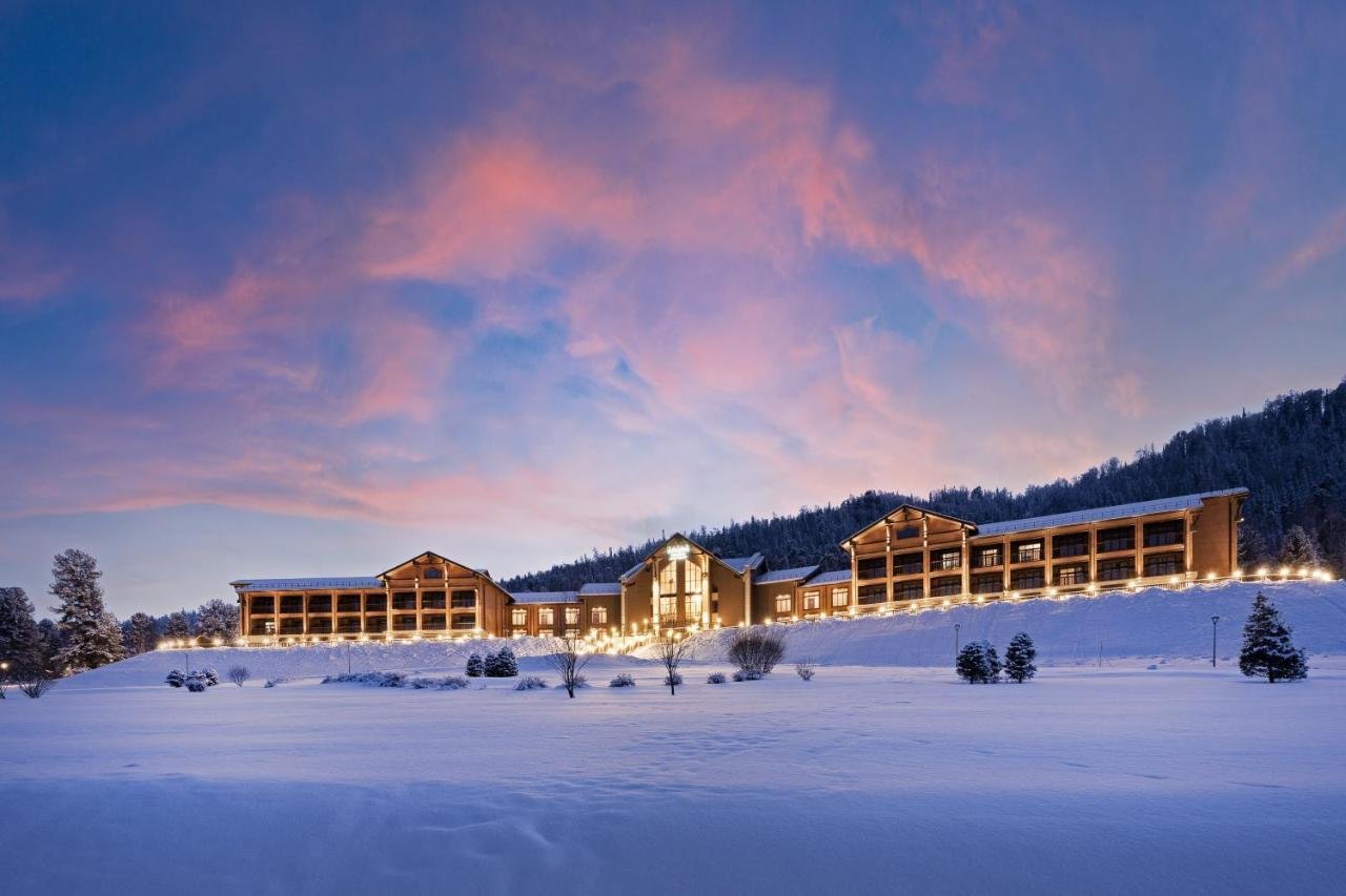 Cosmos Collection Altay Resort - фото 88