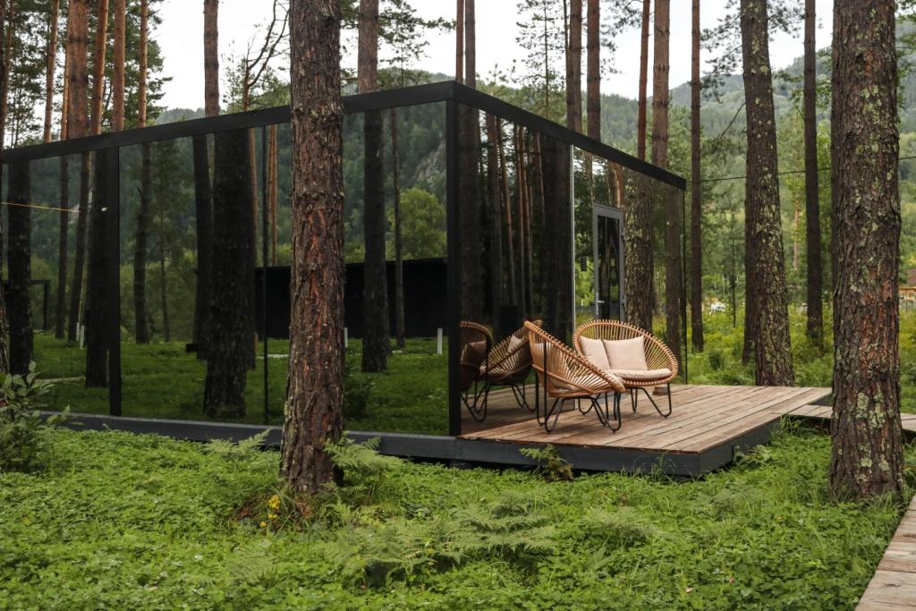 Pinewood resort&SPA - фото 5