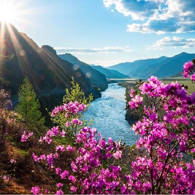 E. L. K. I. - фото 67