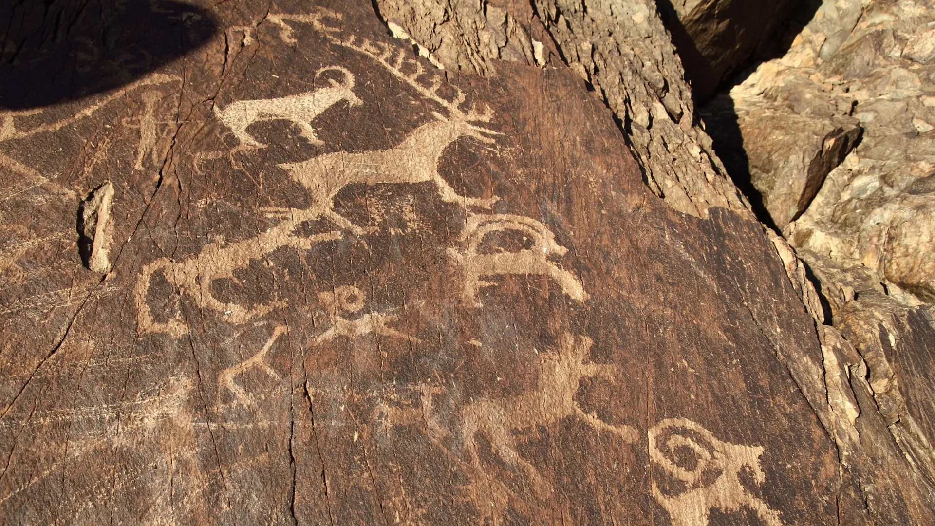 Каракольская писаница или петроглифы Бичикту-Боом - фото 1