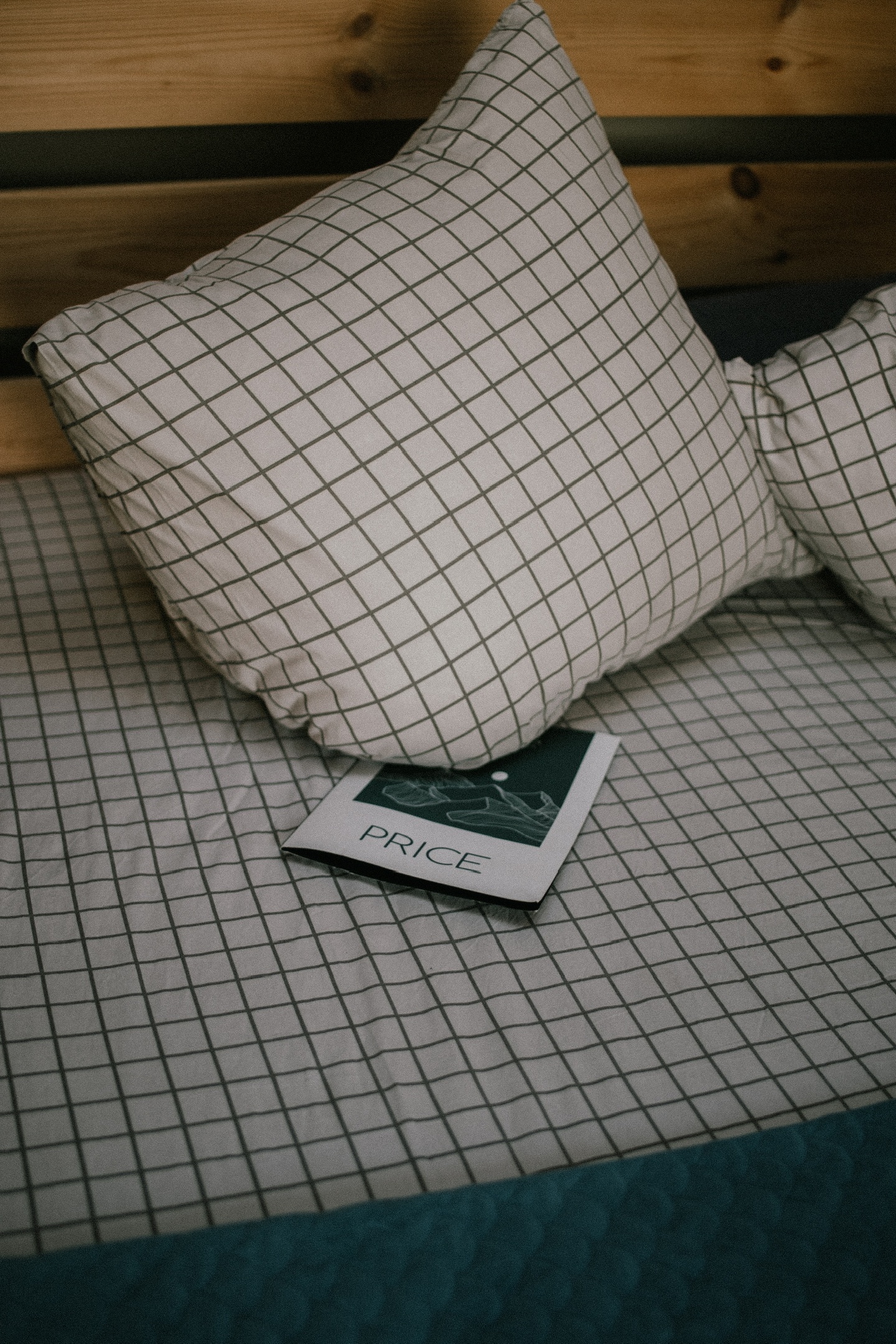 Семейный А-фрейм с панорамной крышей  - фото 2