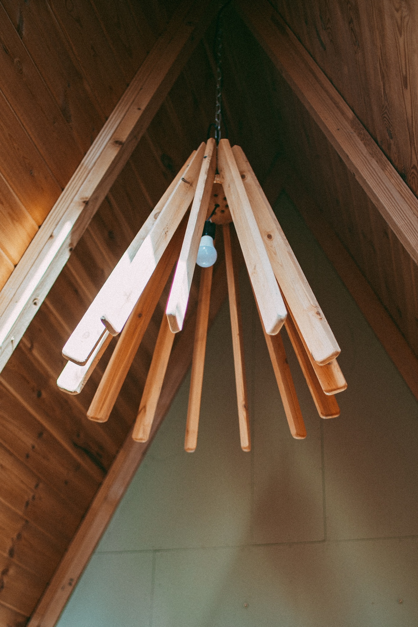 Семейный А-фрейм с панорамной крышей  - фото 5