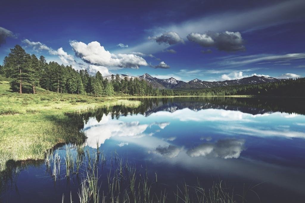 Корона Алтая - фото 20