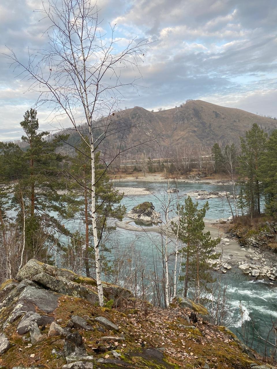 Корона Алтая - фото 33