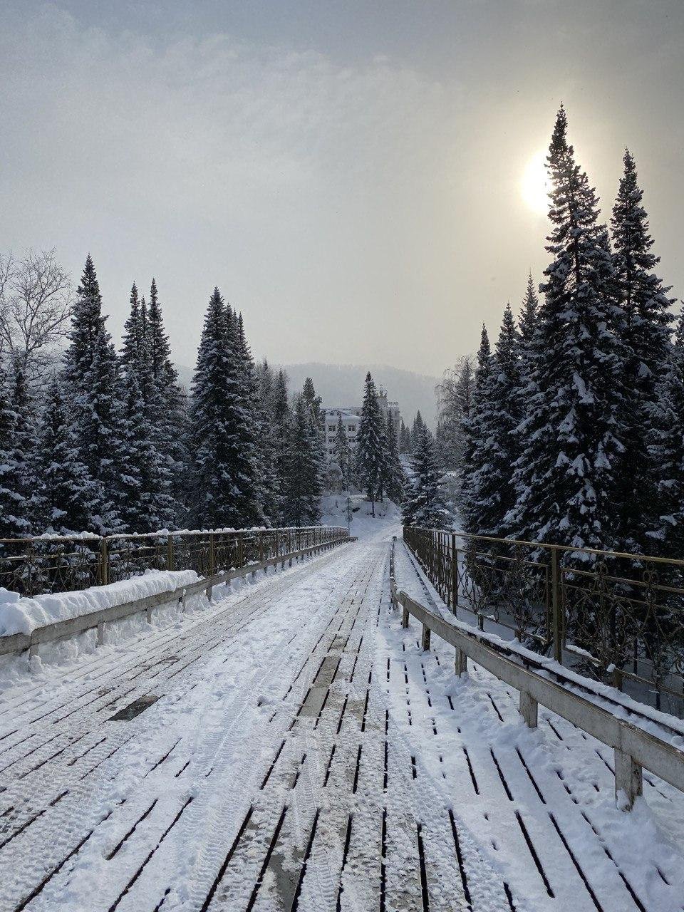 Корона Алтая - фото 44