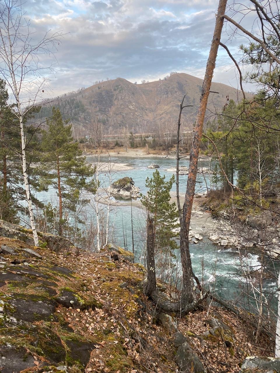 Корона Алтая - фото 45