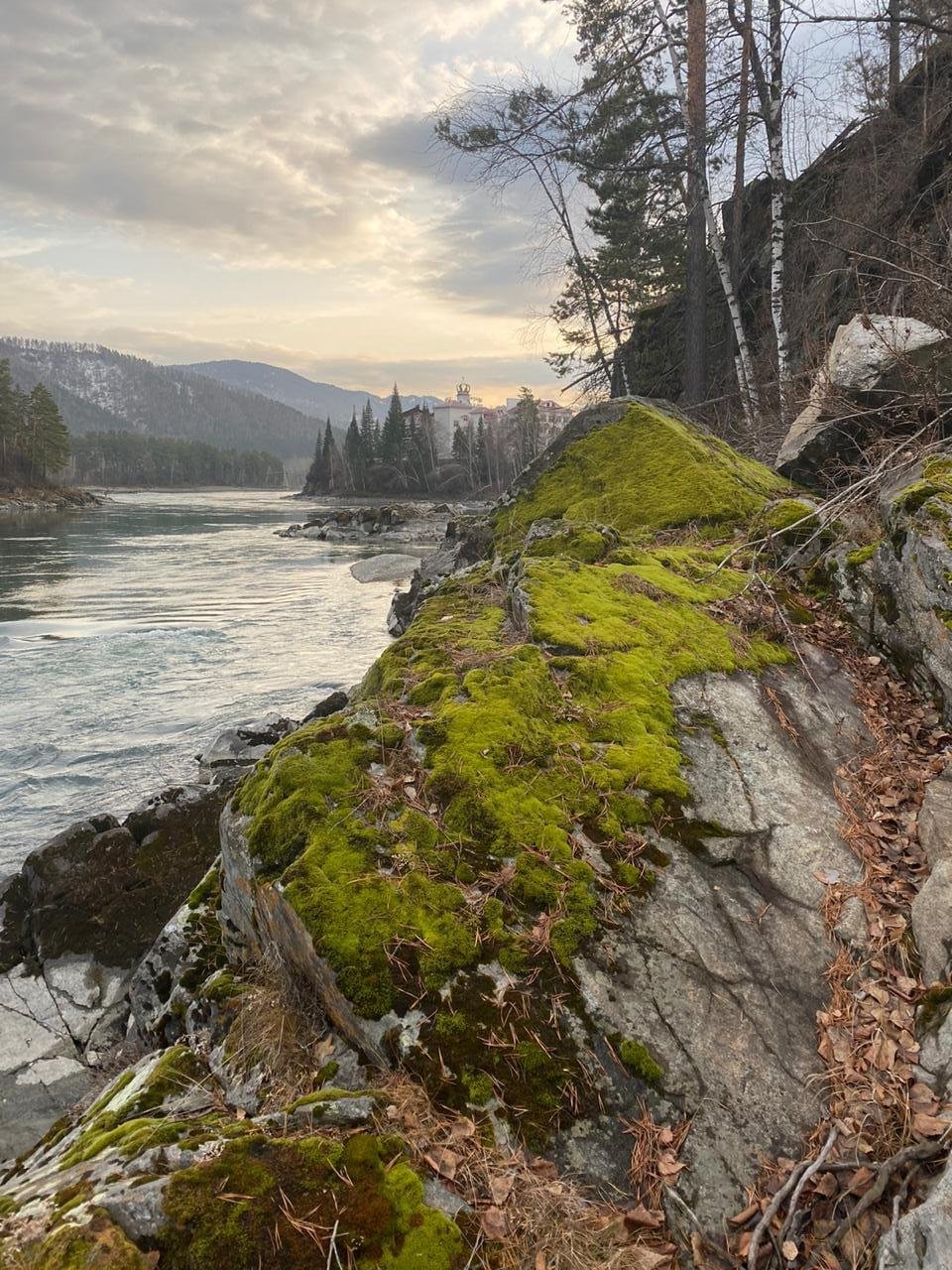 Корона Алтая - фото 52