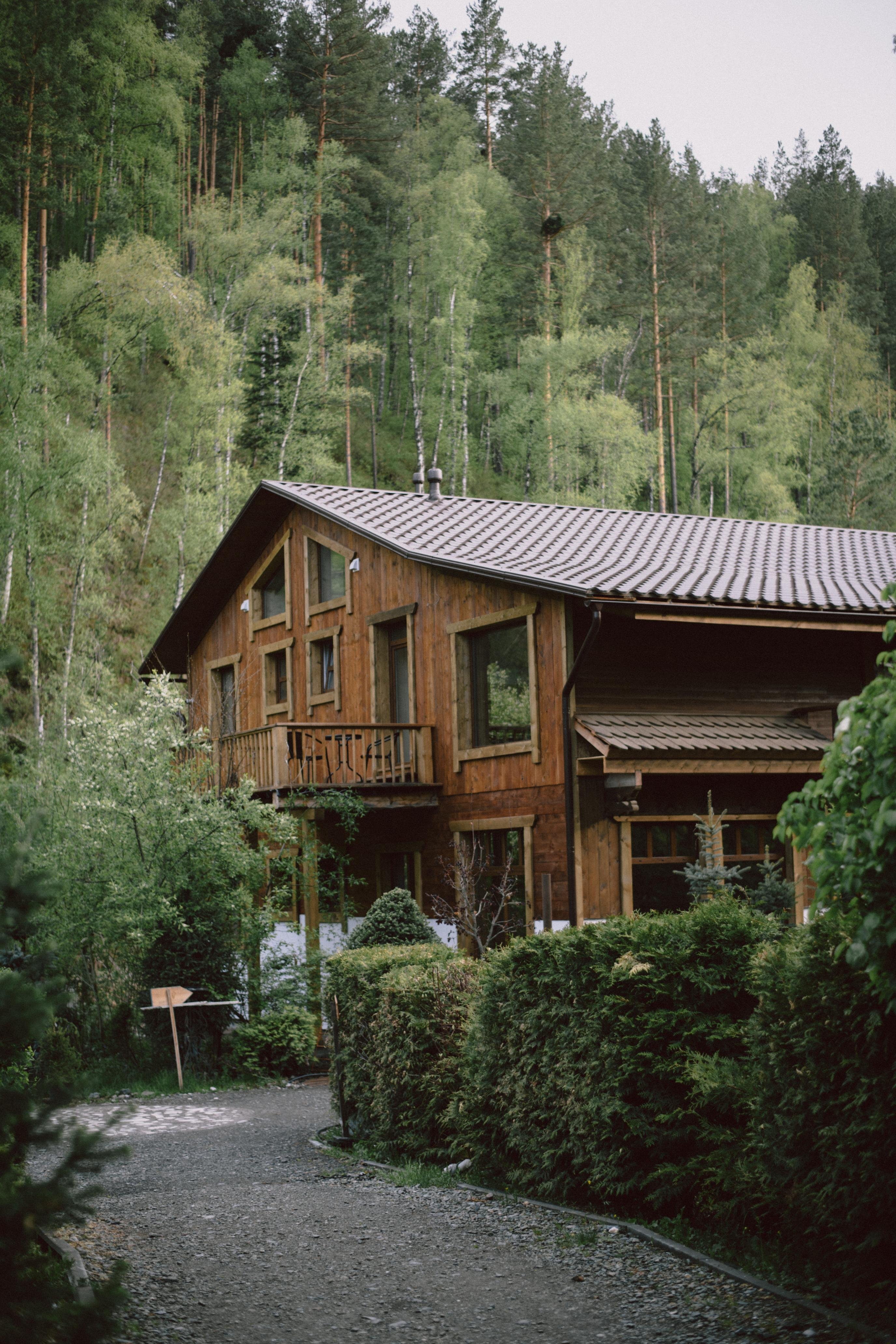 Сад Пионов - фото 1