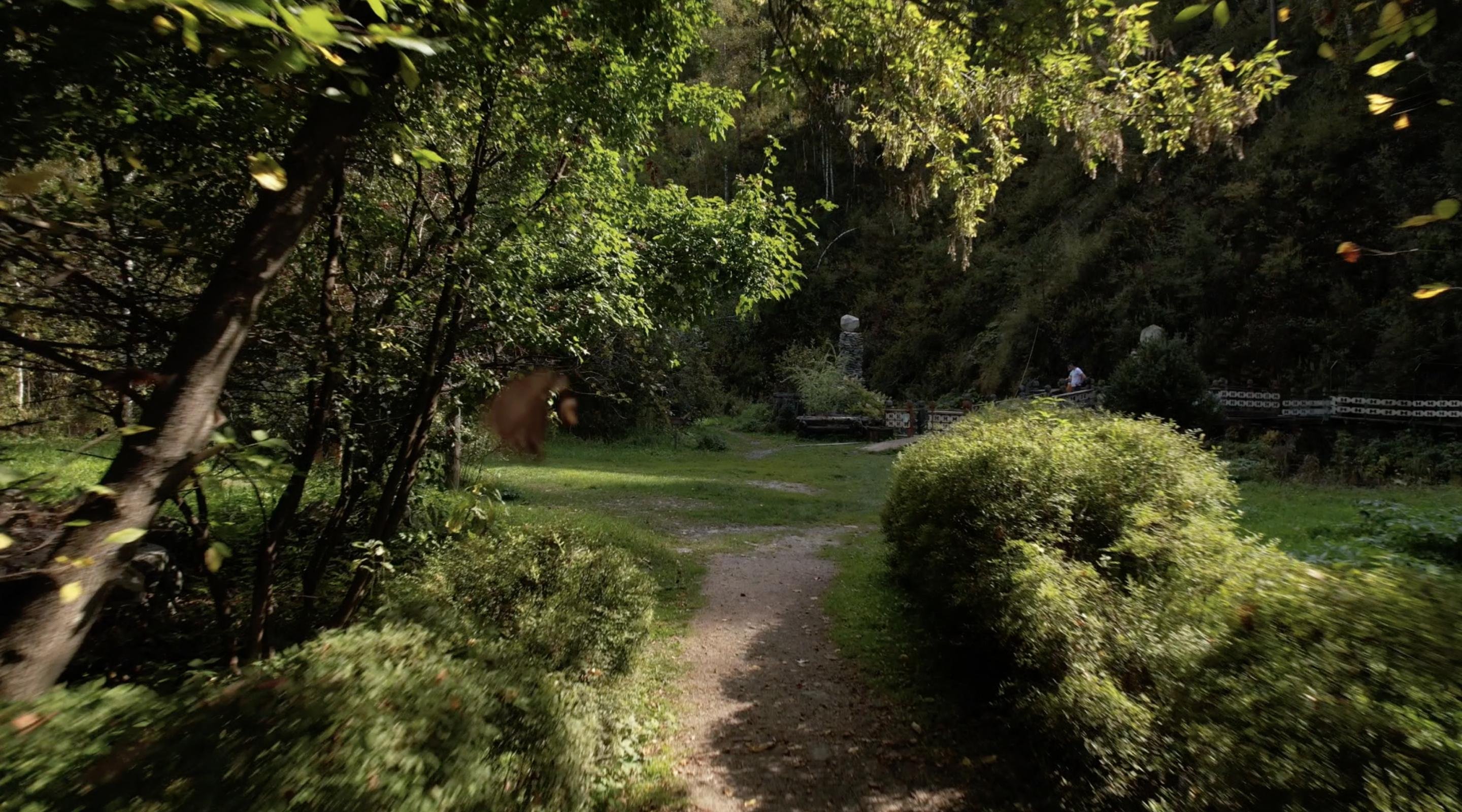 Сад Пионов - фото 29