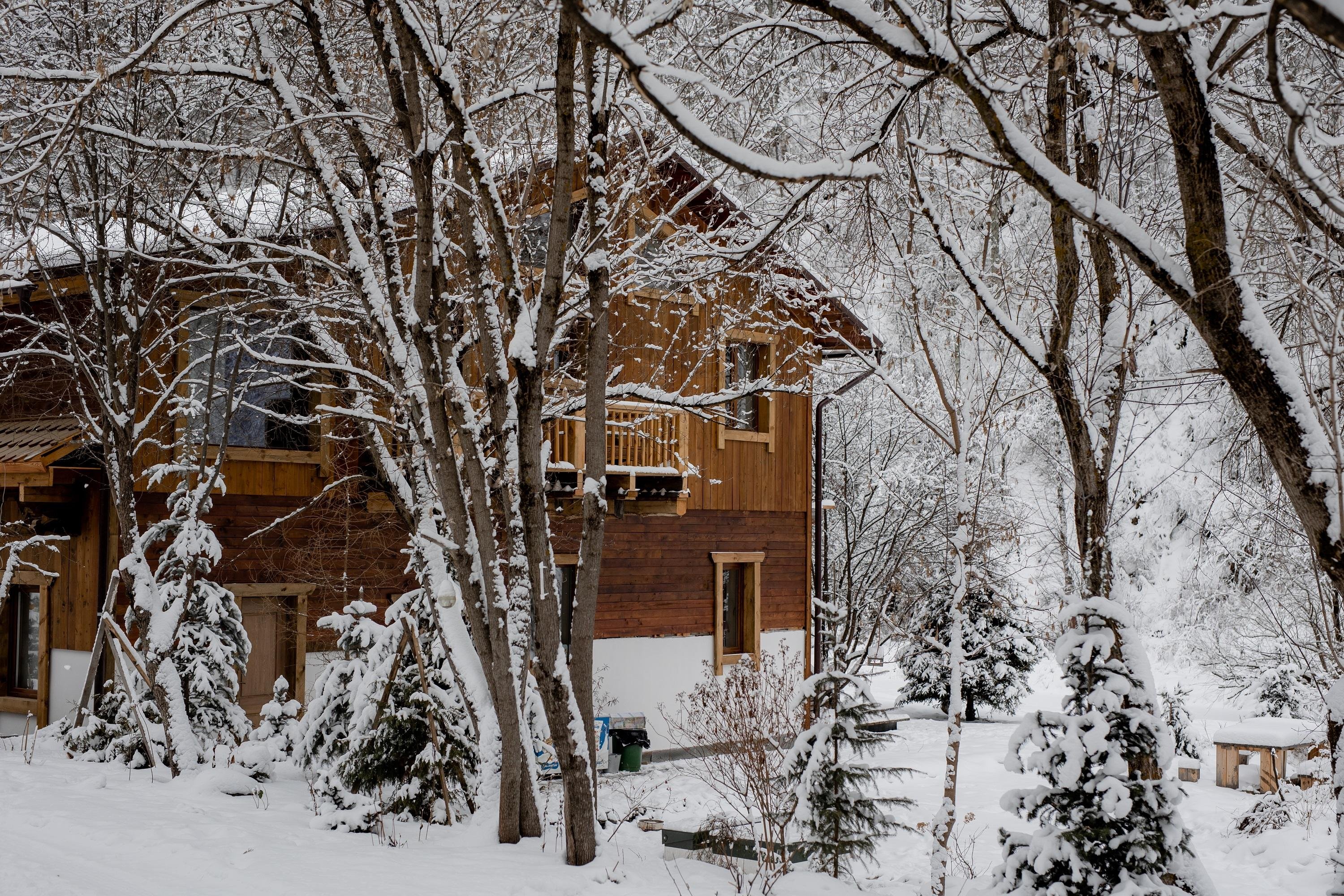 Сад Пионов - фото 31