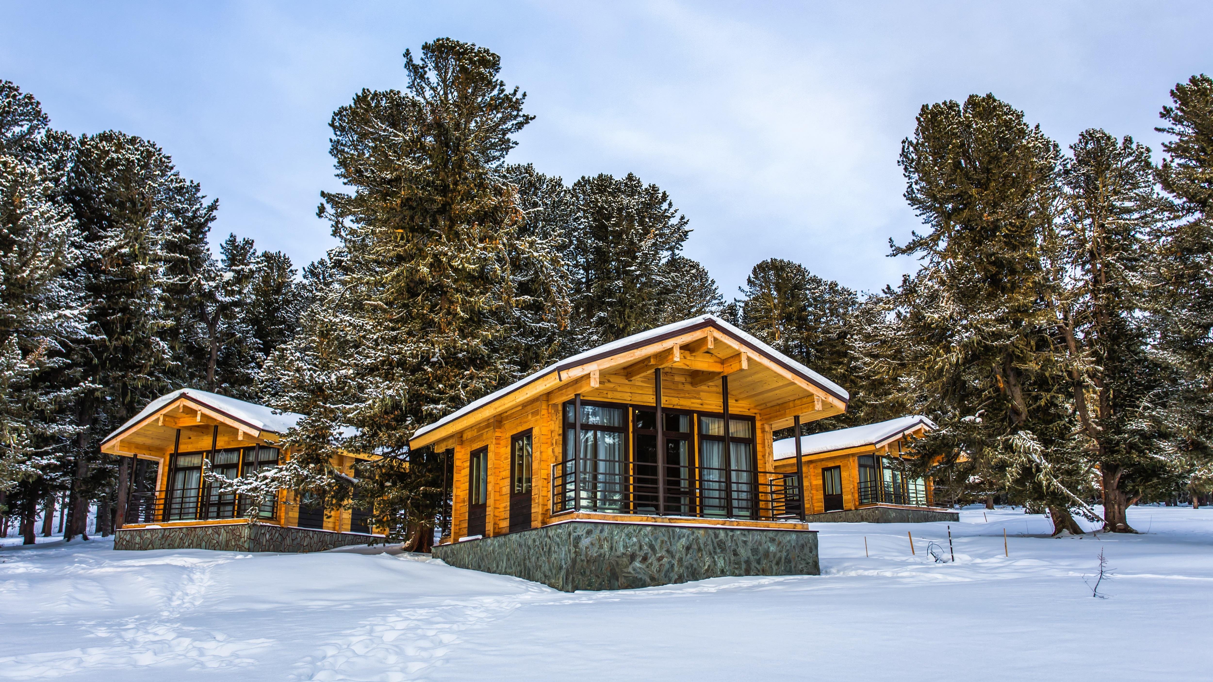 Priroda - фото 14