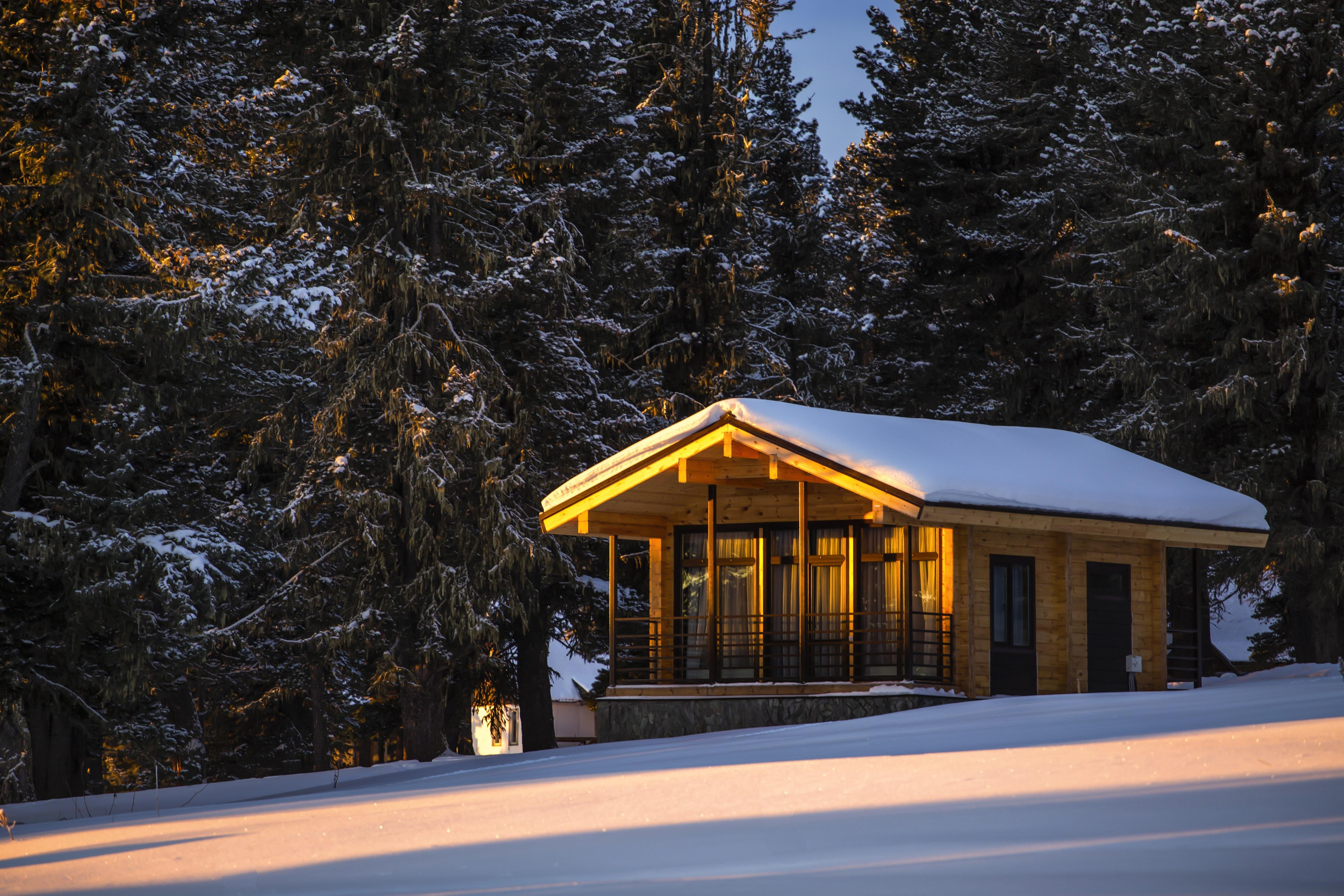 Priroda - фото 24