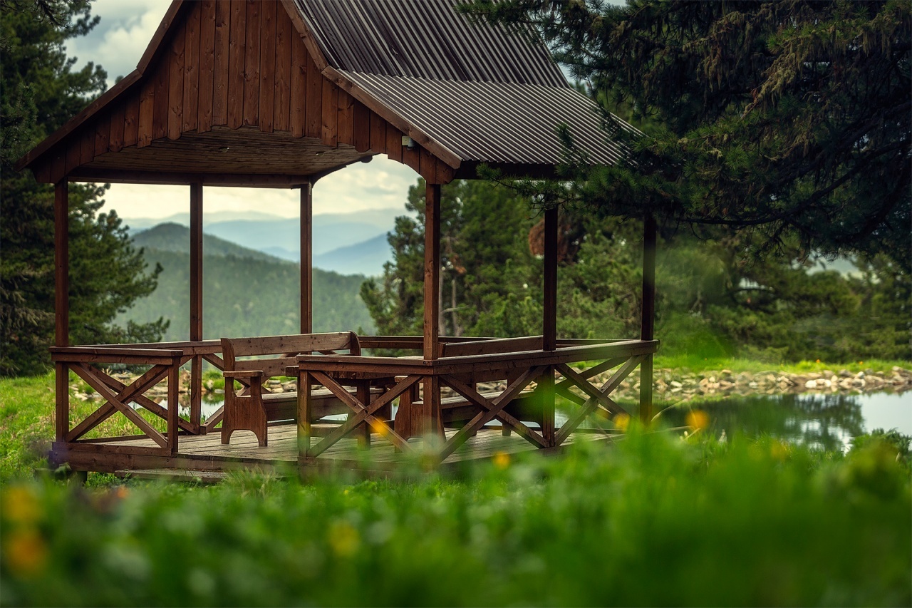 Priroda - фото 27