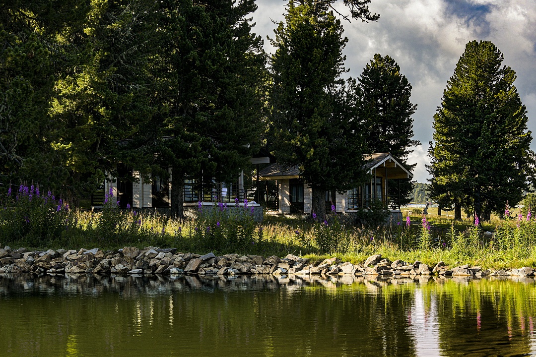 Priroda - фото 33