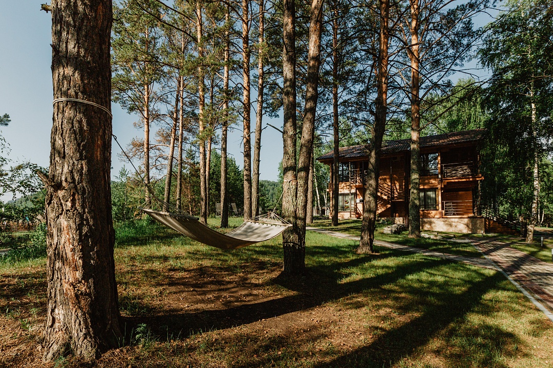 Priroda - фото 37