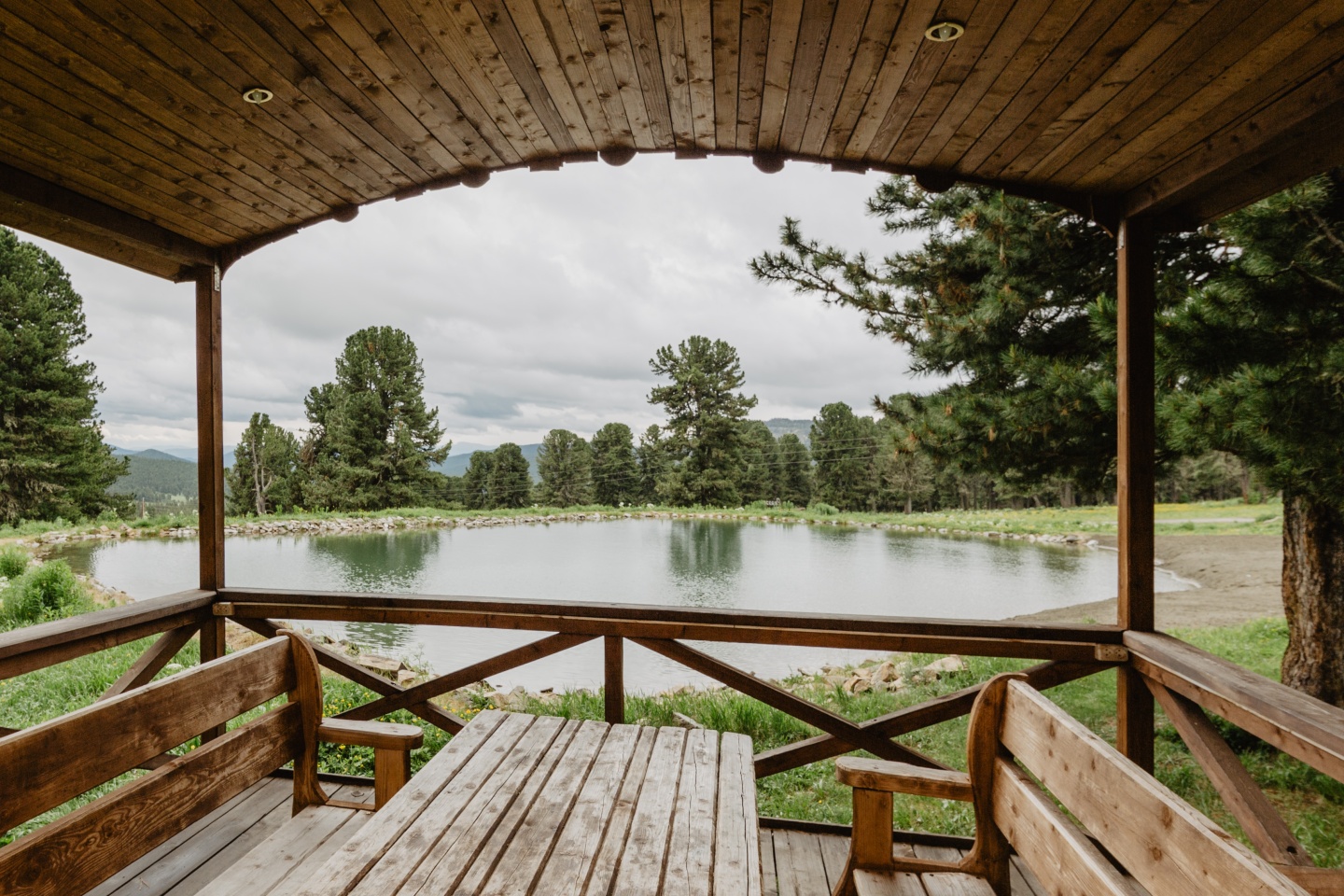 Priroda - фото 39