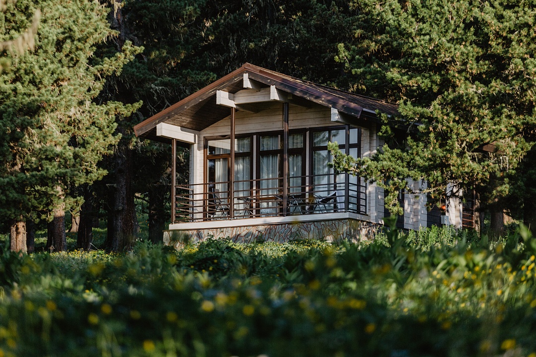 Priroda - фото 46